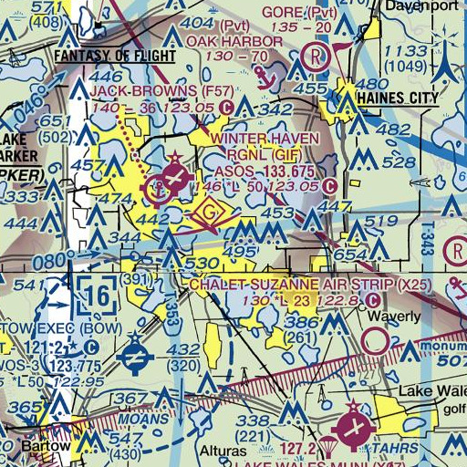 FAA VFR chart of Lake Elbert, FL