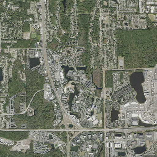 Aerial imagery of First Puncheon Branch, FL