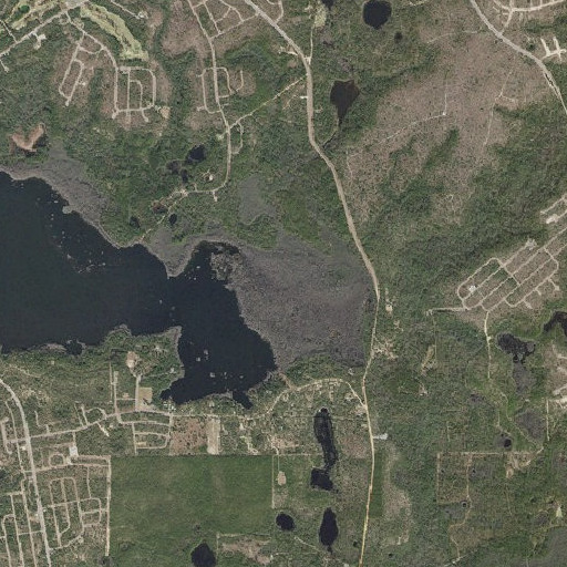 Aerial imagery of Gap Lake Swamp, FL