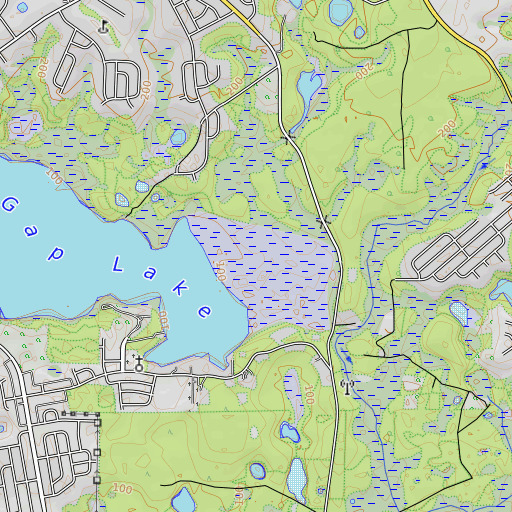 OpenTopoMap map of Gap Lake Swamp, FL