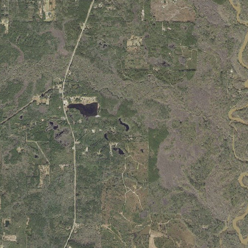 Aerial imagery of Gar Pond, FL