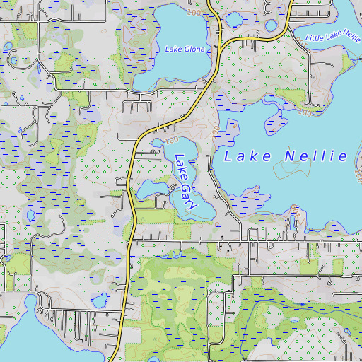 OpenTopoMap map of Lake Gary, FL