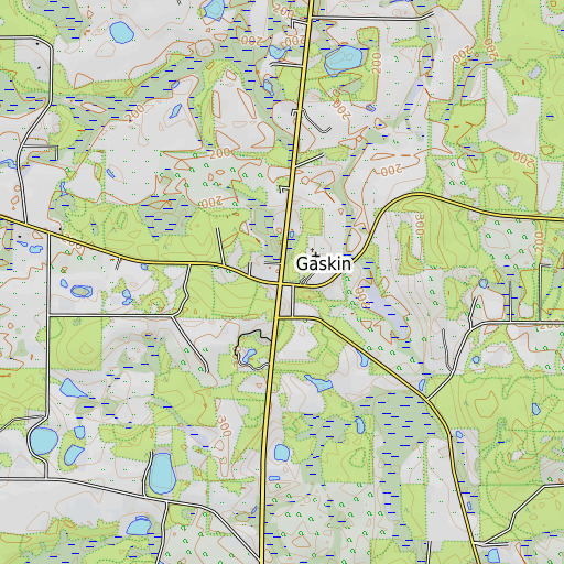 OpenTopoMap map of Gaskin, FL