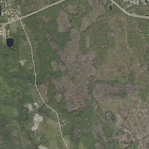 Aerial imagery of Gator Head, FL