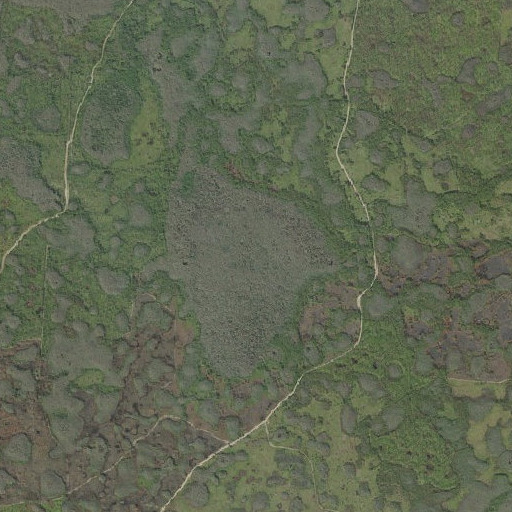 Aerial imagery of Gator Hole, FL