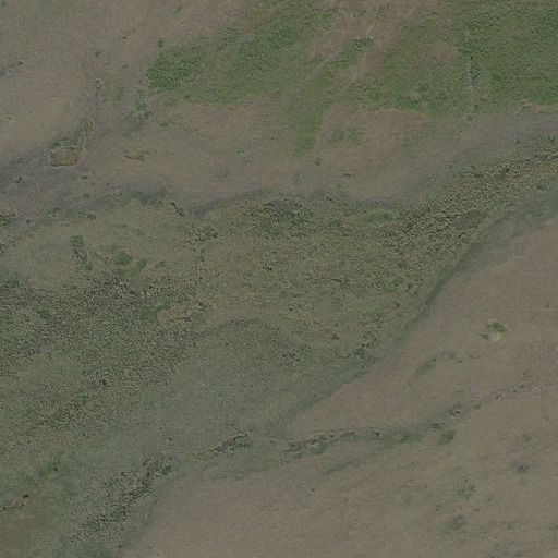 Aerial imagery of Gator Hook Swamp, FL
