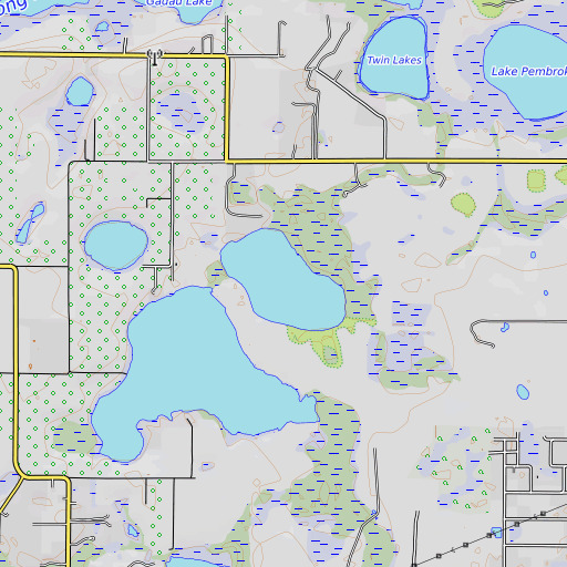 OpenTopoMap map of Gator Lake, FL