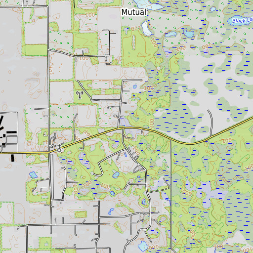 OpenTopoMap map of Gator Pond, FL