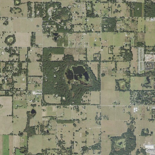 Aerial imagery of Gator Pond, FL