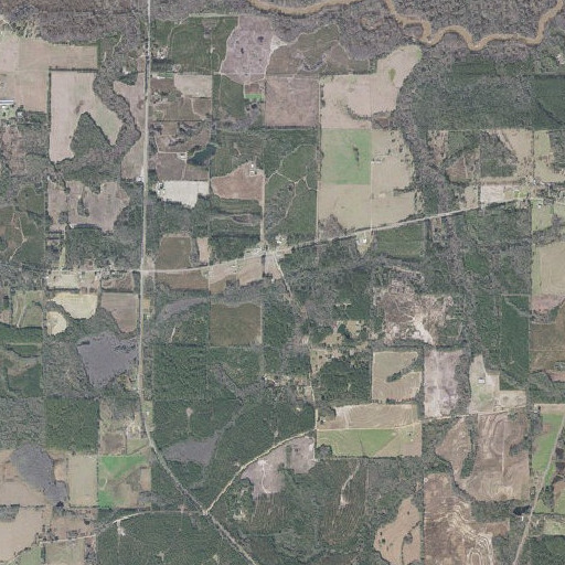 Aerial imagery of Grassy Branch, FL