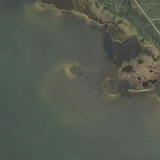 Aerial imagery of Grassy Point, FL