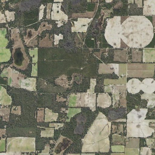 Aerial imagery of Hall Pond, FL