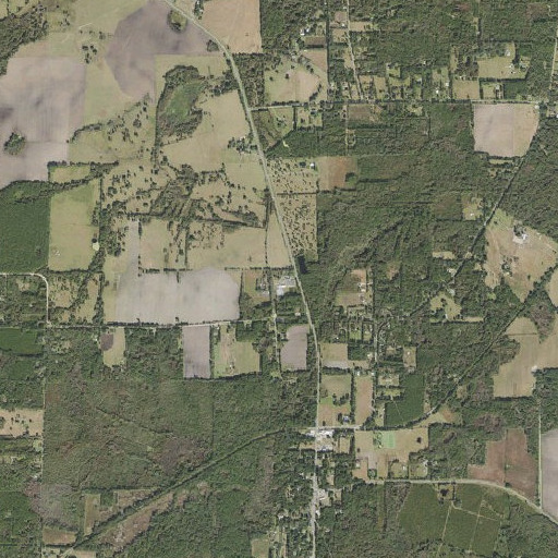 Aerial imagery of La Crosse Forestry Site, FL