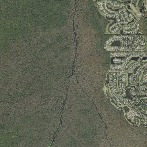 Aerial imagery of Little Wekiva River, FL
