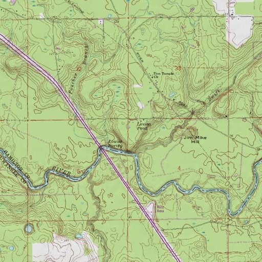 USGS 24K topo map of Louisa Pond, FL