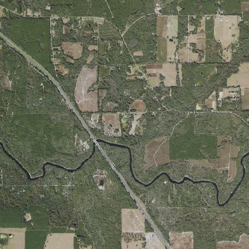 Aerial imagery of Louisa Pond, FL