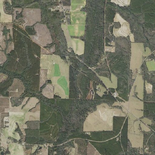 Aerial imagery of Malloy Branch, FL
