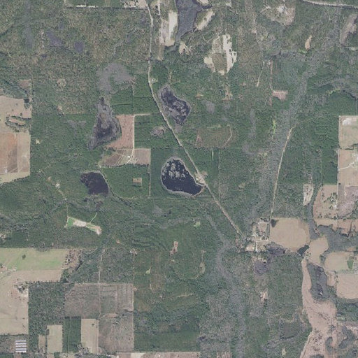 Aerial imagery of Manning Pond, FL