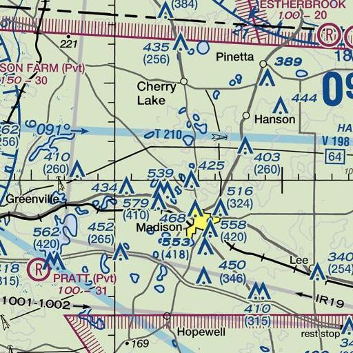 FAA VFR chart of Martin Pond, FL