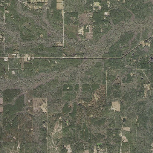 Aerial imagery of McKinnon Branch, FL