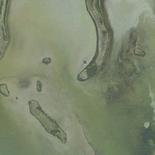 Aerial imagery of Mosquito Point, FL
