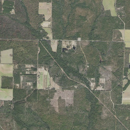 Aerial imagery of Muddy Branch, FL