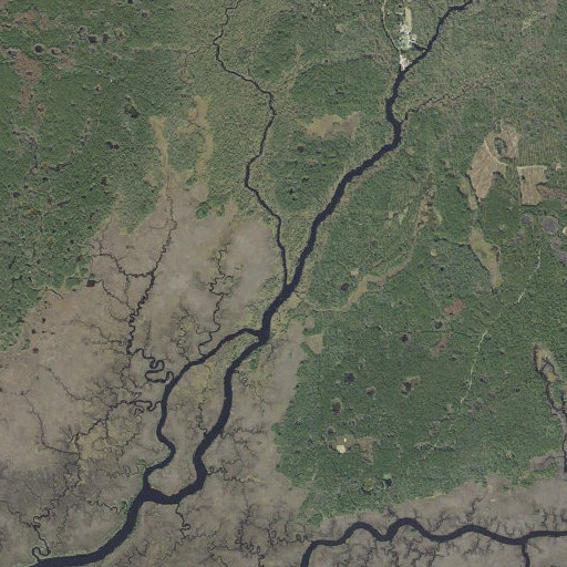 Aerial imagery of Otter Creek, FL