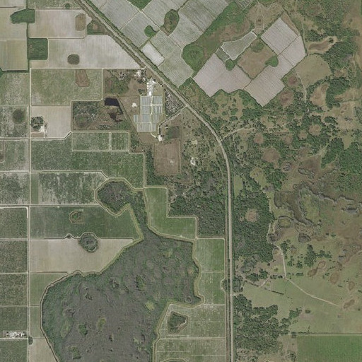 Aerial imagery of Owl Hammock, FL