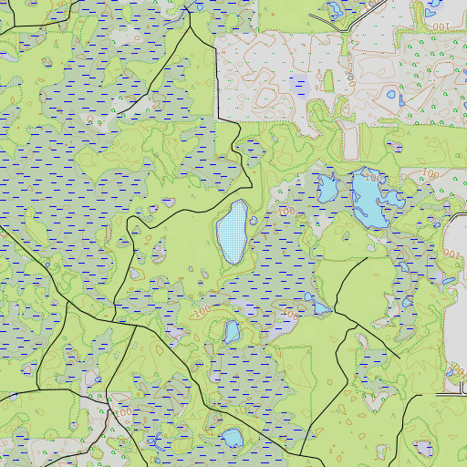 OpenTopoMap map of Pacolson Lake, FL