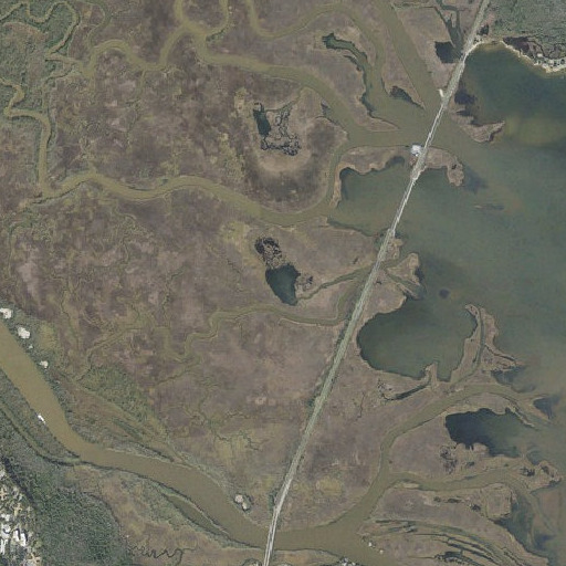 Aerial imagery of Petermans Basin, FL