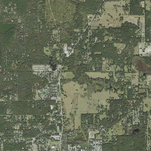 Aerial imagery of Ramsey Pond, FL