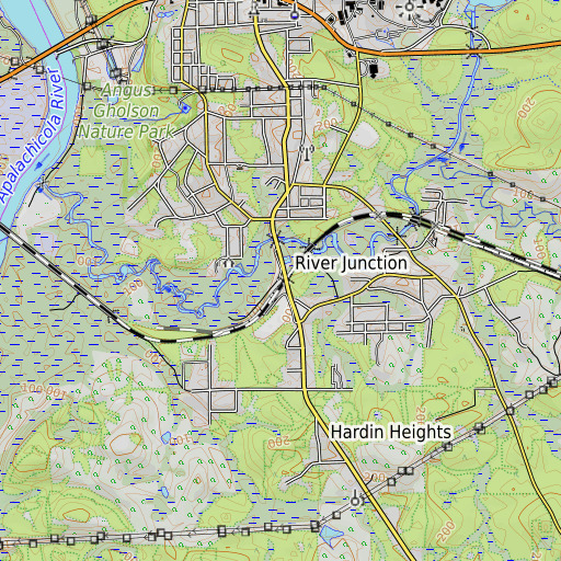 OpenTopoMap map of River Junction, FL
