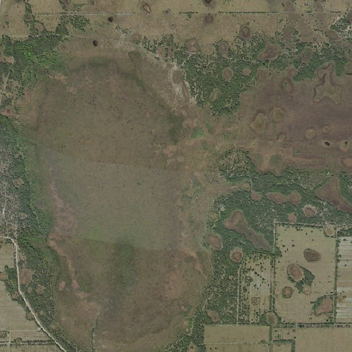 Aerial imagery of Sixmile Marsh, FL