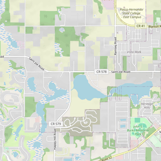 OpenStreetMap map of Suwannee Lake, FL