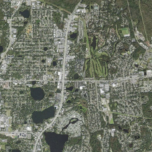 Aerial imagery of Lake Talmo, FL
