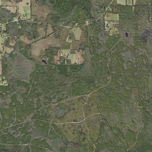 Aerial imagery of Tan Yard Creek, FL