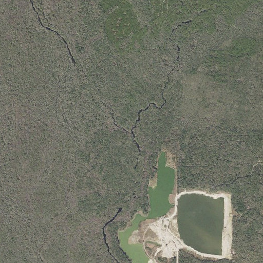 Aerial imagery of Wacissa River, FL