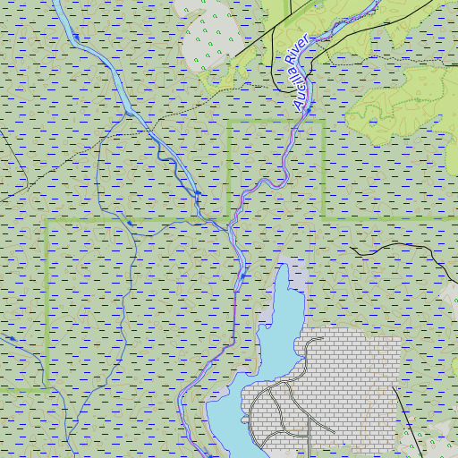 OpenTopoMap map of Wacissa River, FL
