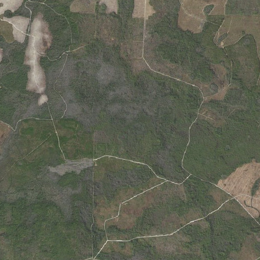 Aerial imagery of Wetappo Swamp, FL