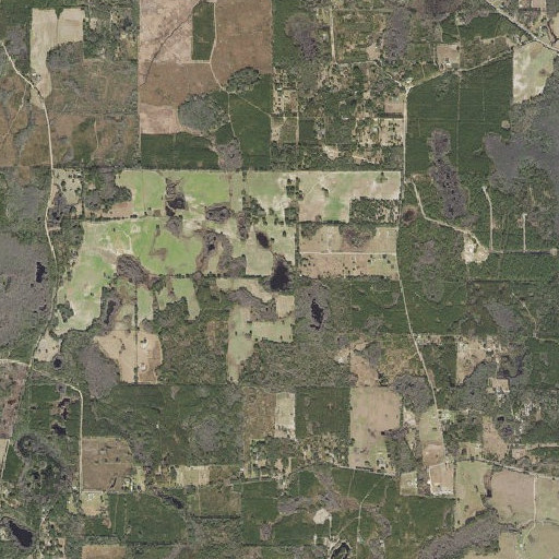 Aerial imagery of Wickers Pond, FL