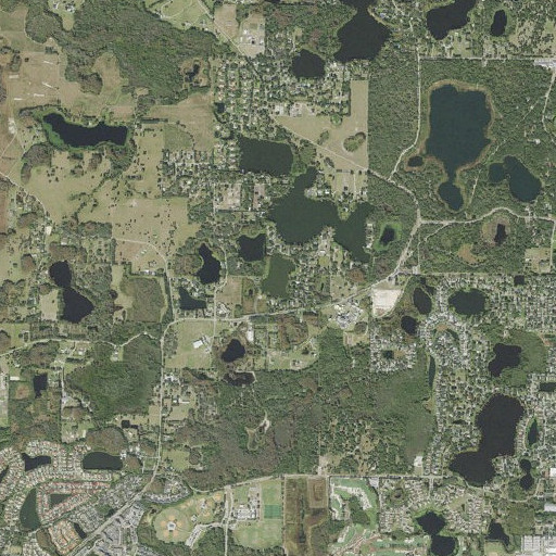 Aerial imagery of Williams Lake, FL