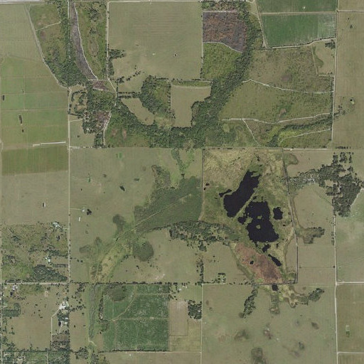 Aerial imagery of Lake Slough, FL