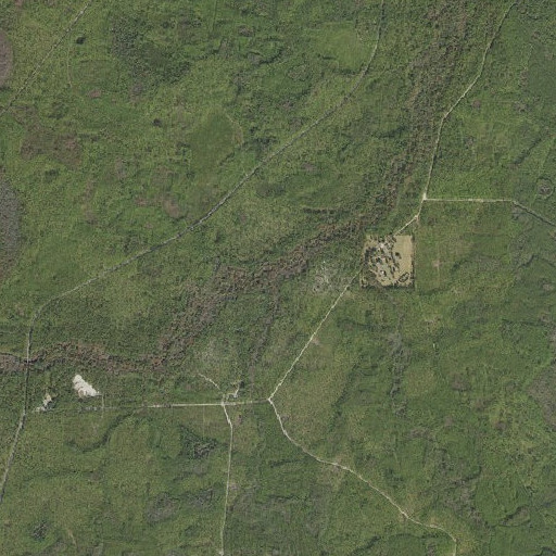 Aerial imagery of Bear Bay Branch, FL