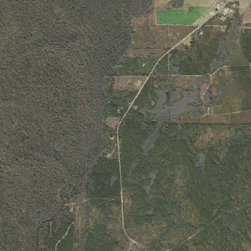 Aerial imagery of Beazly Hammock, FL