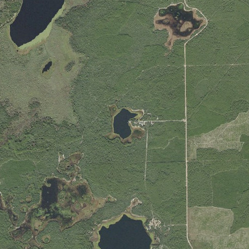 Aerial imagery of Deer Lake, FL