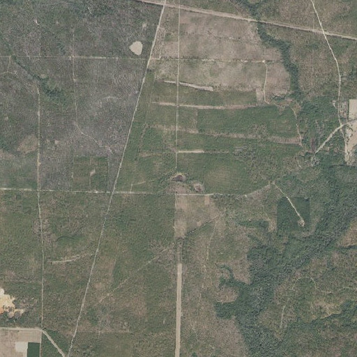 Aerial imagery of Goose Pond, FL