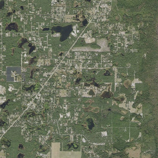 Aerial imagery of Grass Lake, FL