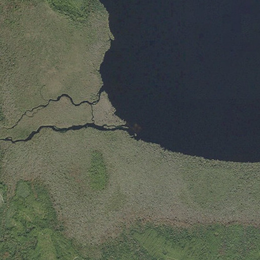 Aerial imagery of Juniper Creek, FL