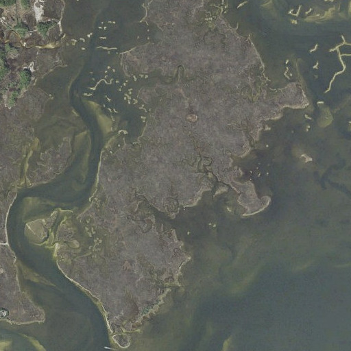 Aerial imagery of Piney Island, FL