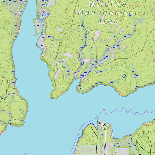 OpenTopoMap map of Pole Branch, FL